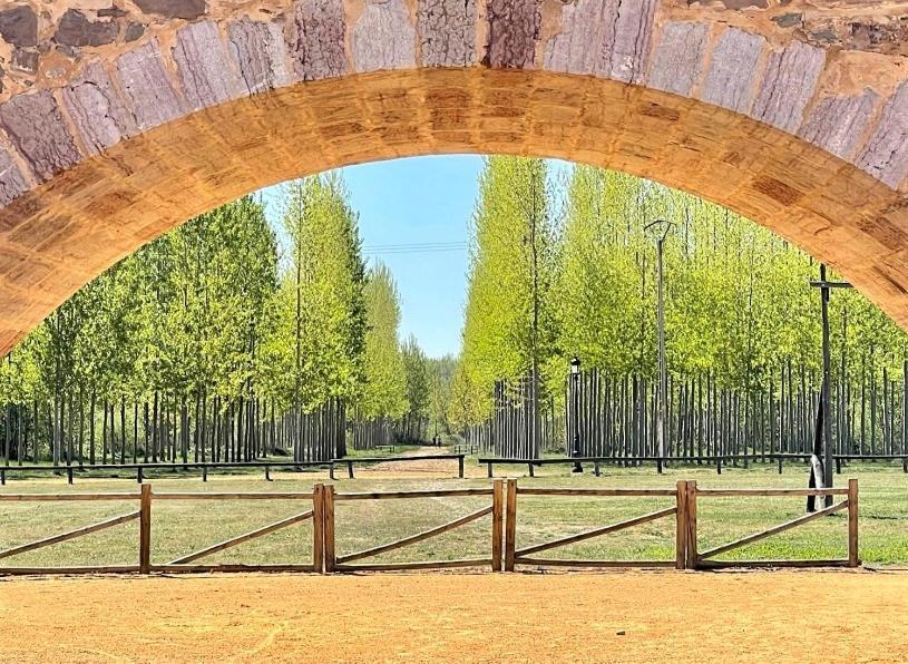 B&B Puente De Orbigo Hospital de Órbigo 외부 사진